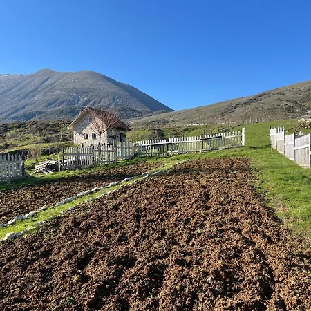 Saffron House South Albania *
